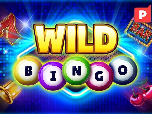 0088 bet Bingo Selvagem